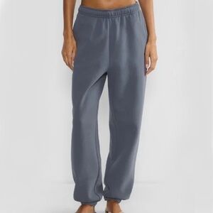 Aritzia - Cozy Sweatfleece Blue Oversized Drawcord Pull-On Mega Jogger - Medium